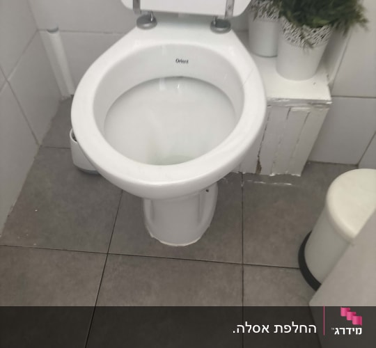אסלה לבנה בחדר שירותים עם עציצים